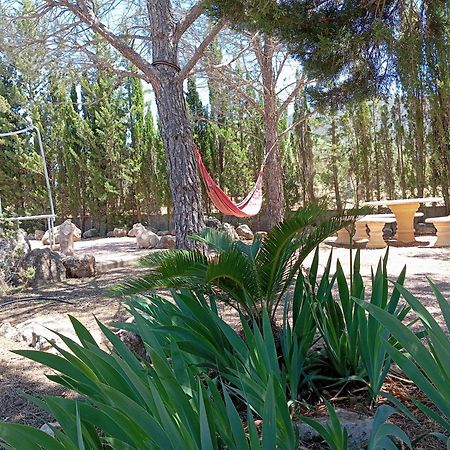 Casa Rural El Carmen De La Sierra 耶克拉 外观 照片