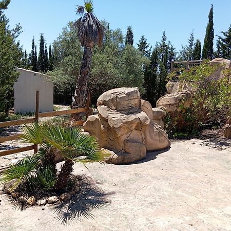 Casa Rural El Carmen De La Sierra 耶克拉 外观 照片