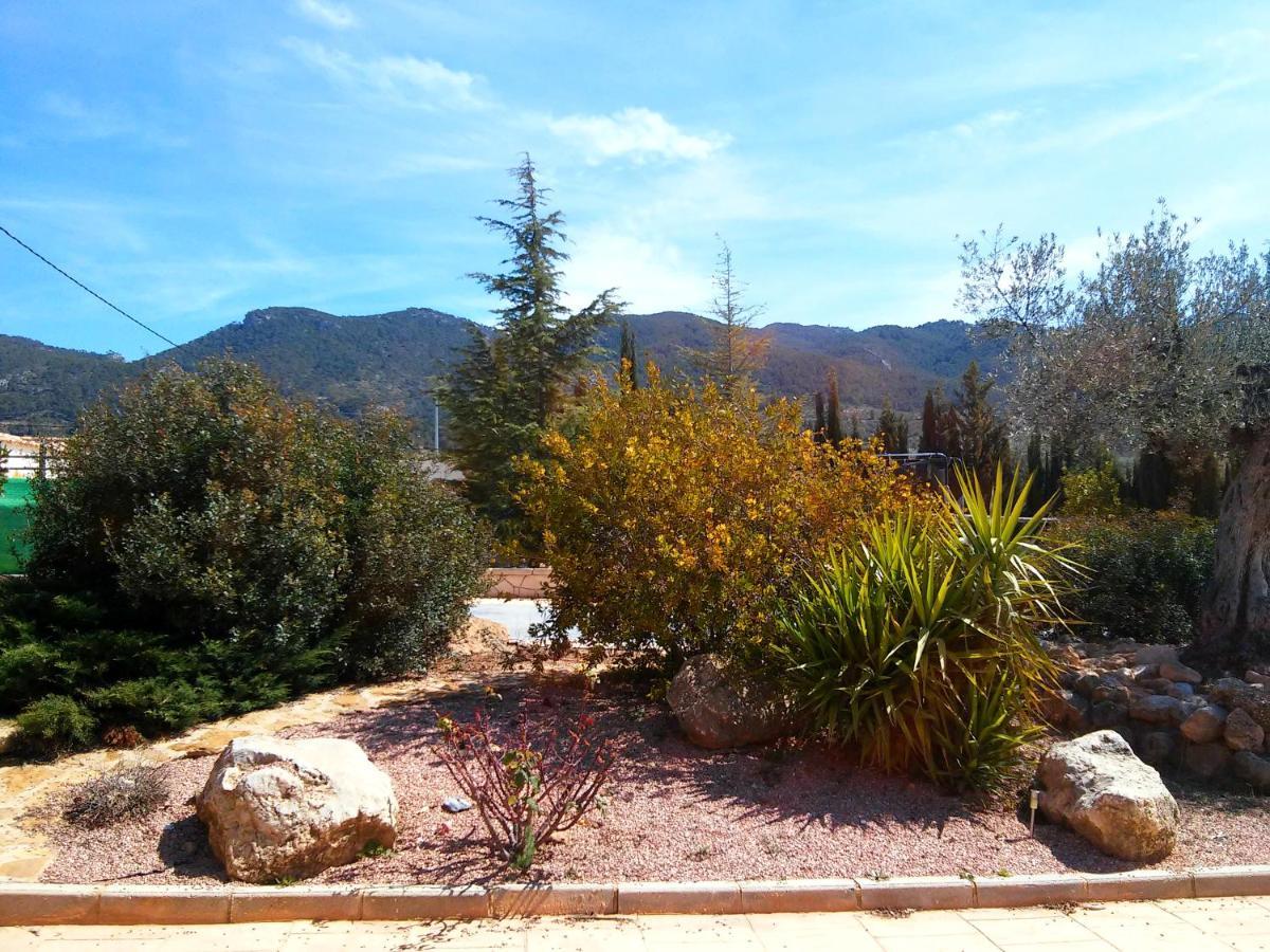 Casa Rural El Carmen De La Sierra 耶克拉 外观 照片