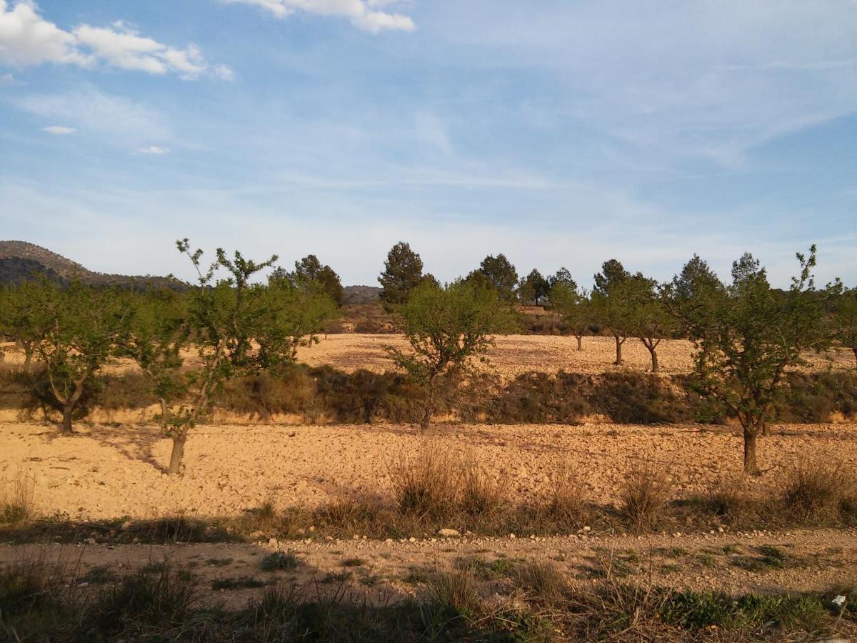 Casa Rural El Carmen De La Sierra 耶克拉 外观 照片