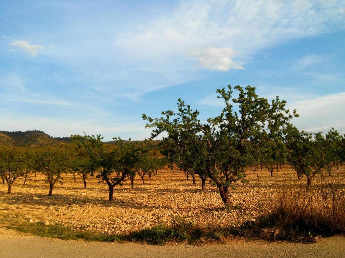 Casa Rural El Carmen De La Sierra 耶克拉 外观 照片