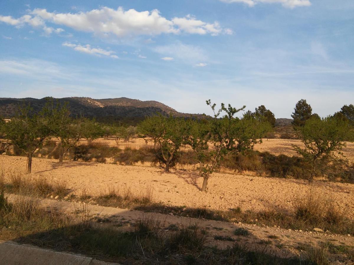 Casa Rural El Carmen De La Sierra 耶克拉 外观 照片
