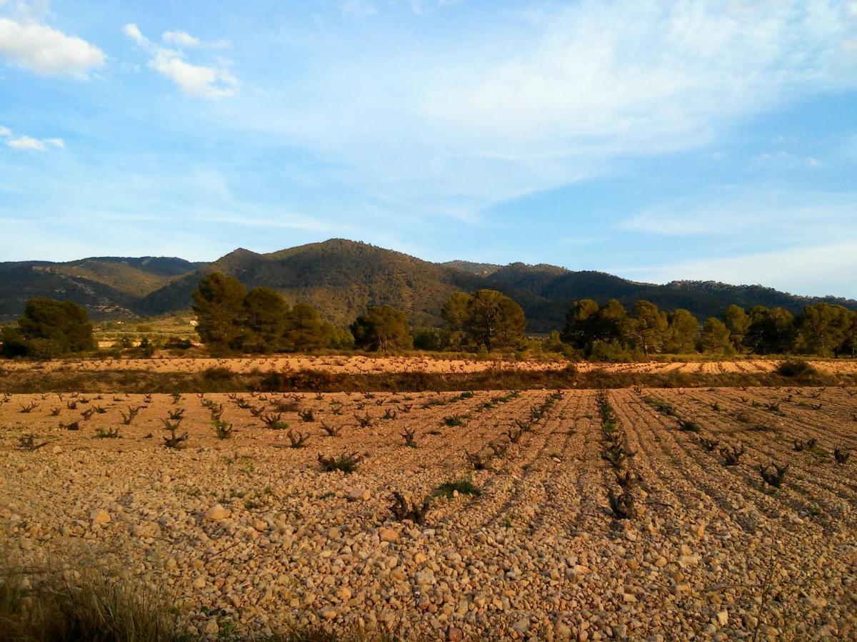 Casa Rural El Carmen De La Sierra 耶克拉 外观 照片