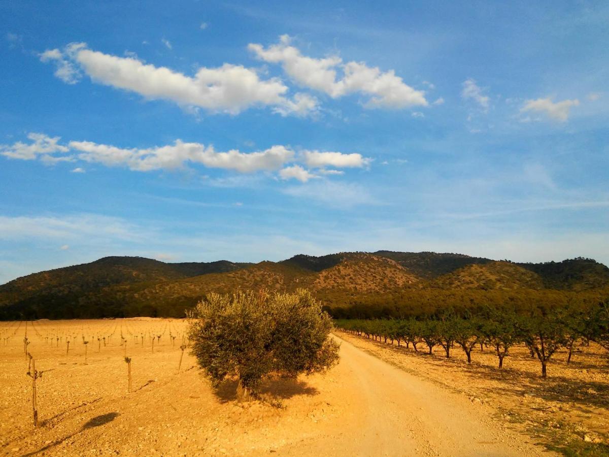 Casa Rural El Carmen De La Sierra 耶克拉 外观 照片