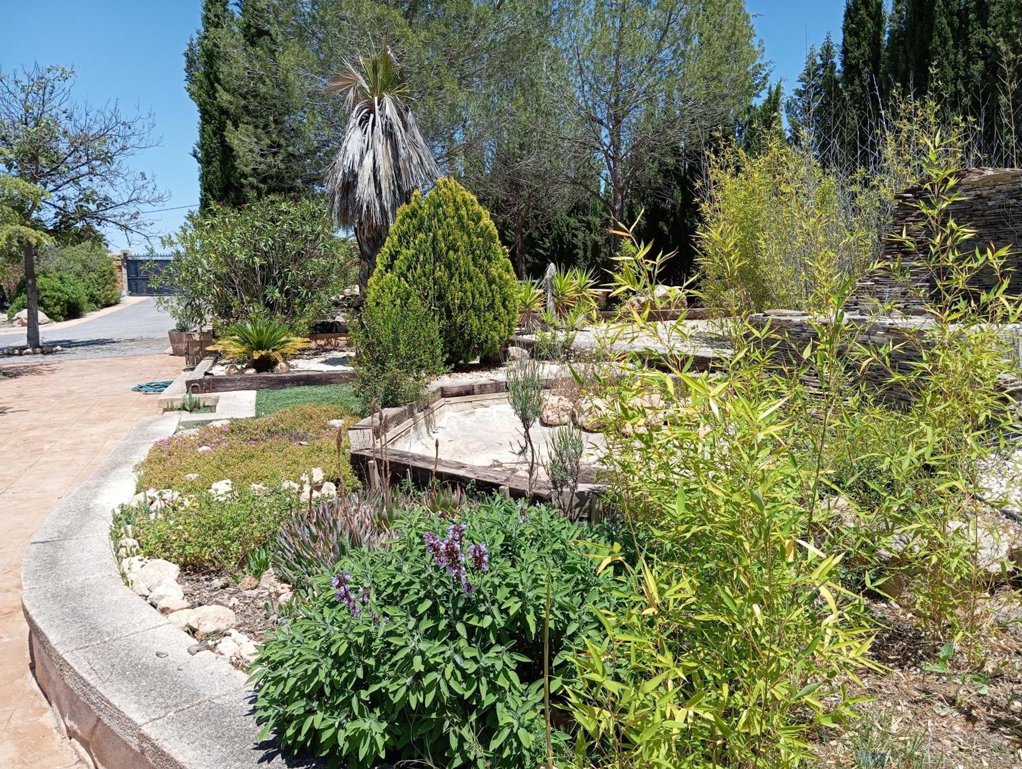 Casa Rural El Carmen De La Sierra 耶克拉 外观 照片